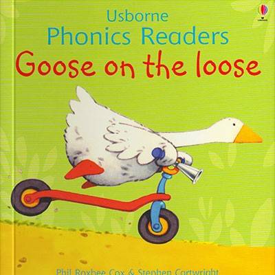 Goose on the loose