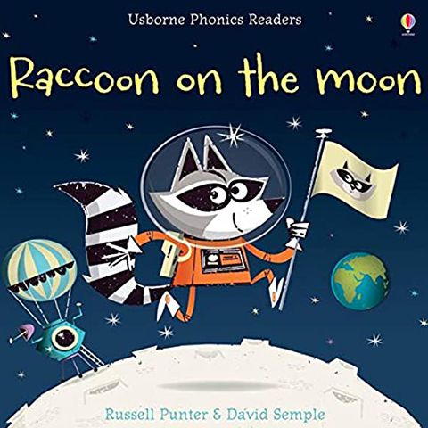 Raccoon on the moon