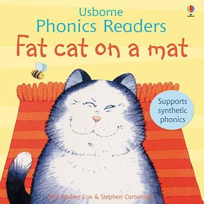 Fat cat on a mat