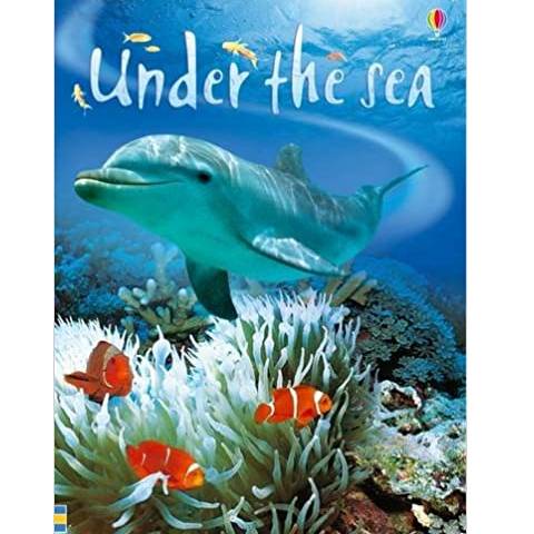 Under the Sea