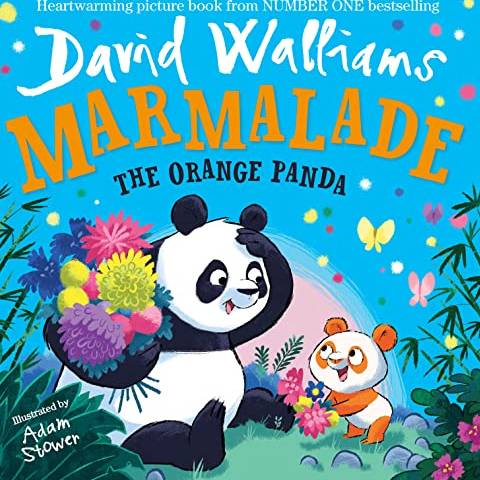 Marmalade The Orange Panda