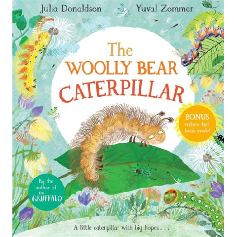 The Wolly Bear Caterpillar