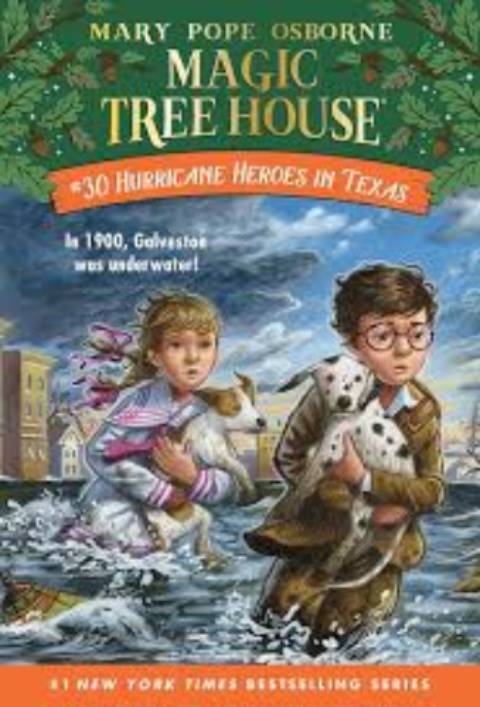 Hurricane Heros in Texas